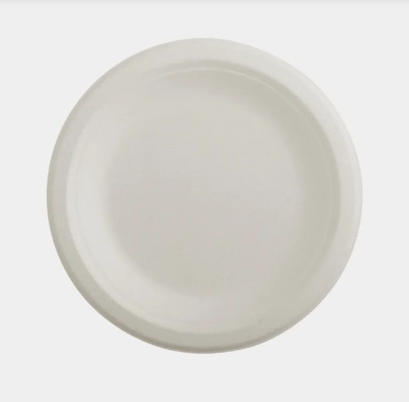Bagasse Plates 10 Inch Plates