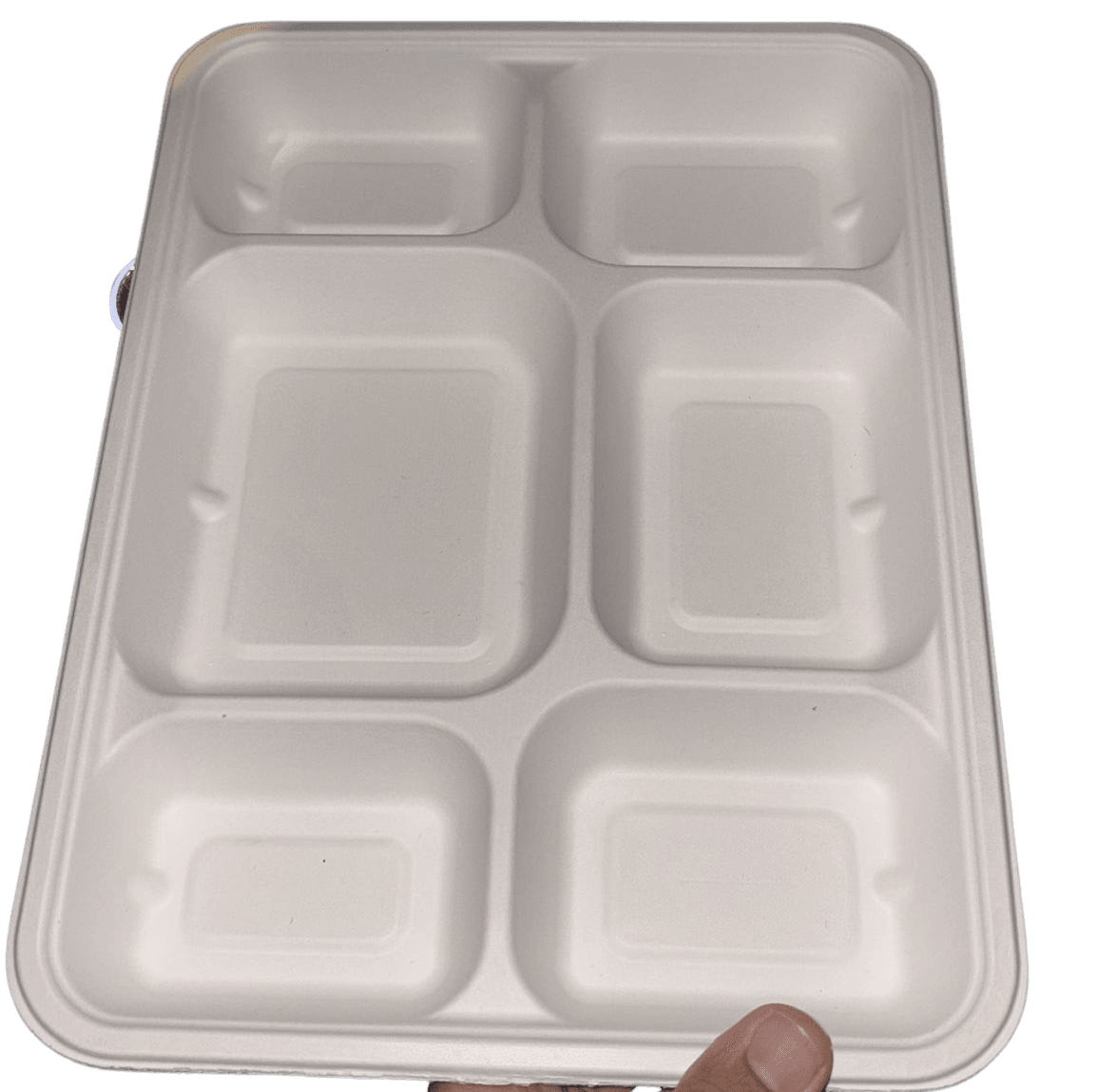 6 Comp Plate
